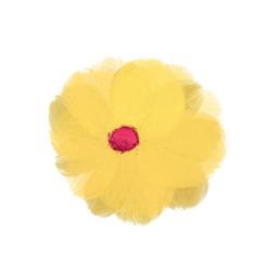 꽃