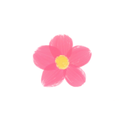 꽃